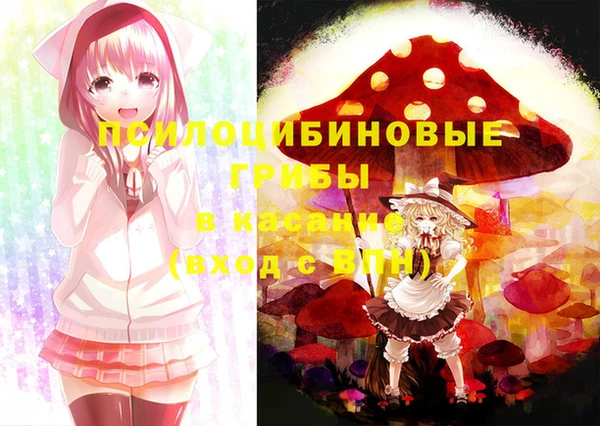 дмт Лихославль